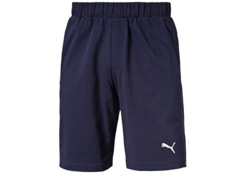 puma-shorts-men-838262-06-dark-blue-1